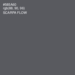 #585A60 - Scarpa Flow Color Image